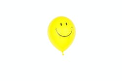 1672950159170 Smileyface 1672950159170 Smileyface