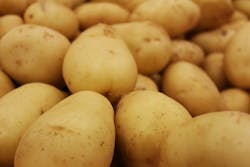 1673021114969 Potato 1673021114969 Potato