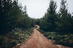 1673021627534 Forestroad 1673021627534 Forestroad