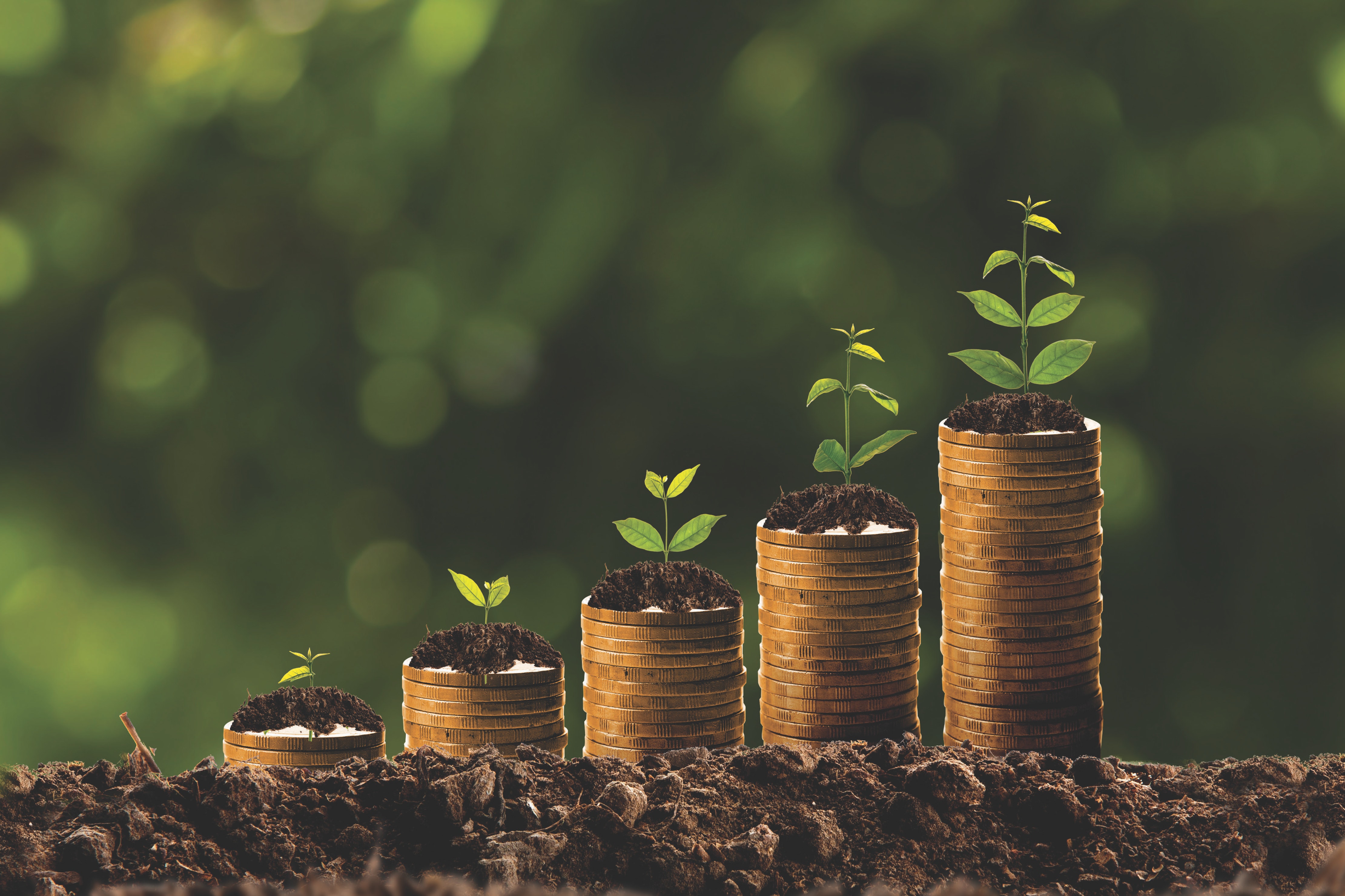 1673043887608 Profits 21