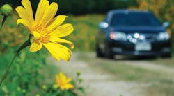 1673045497827 Springtime Car Care1 1673045497827 Springtime Car Care1