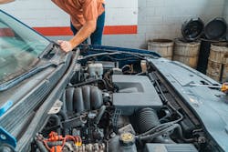 Pexels M Dia 4116202 64234f3a4d91b Pexels M Dia 4116202 64234f3a4d91b