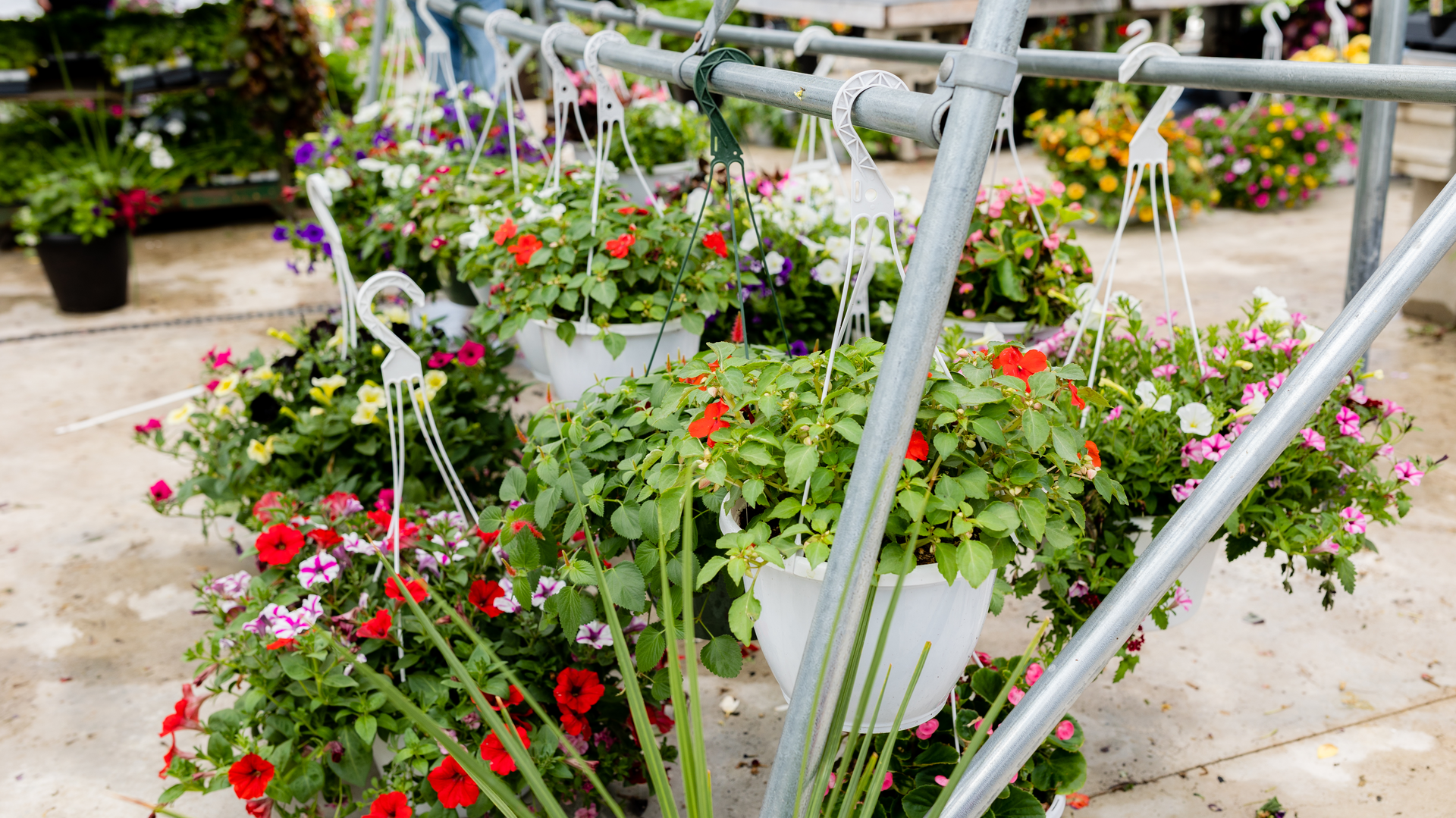 Peels Green House12 6463a70a0474c