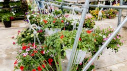 Peels Green House12 6463a70a0474c Peels Green House12 6463a70a0474c