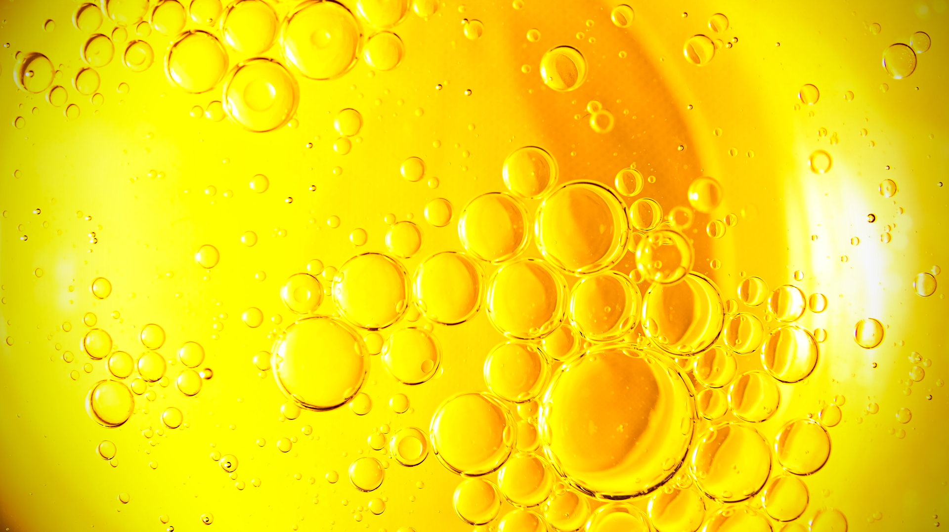 Adobe Stock 221901760 64b6ccb47315b