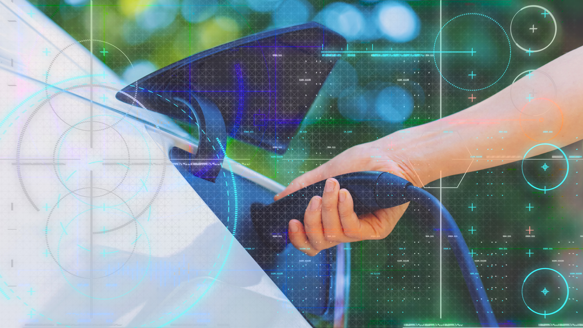 Dreamstime Xxl 136472002