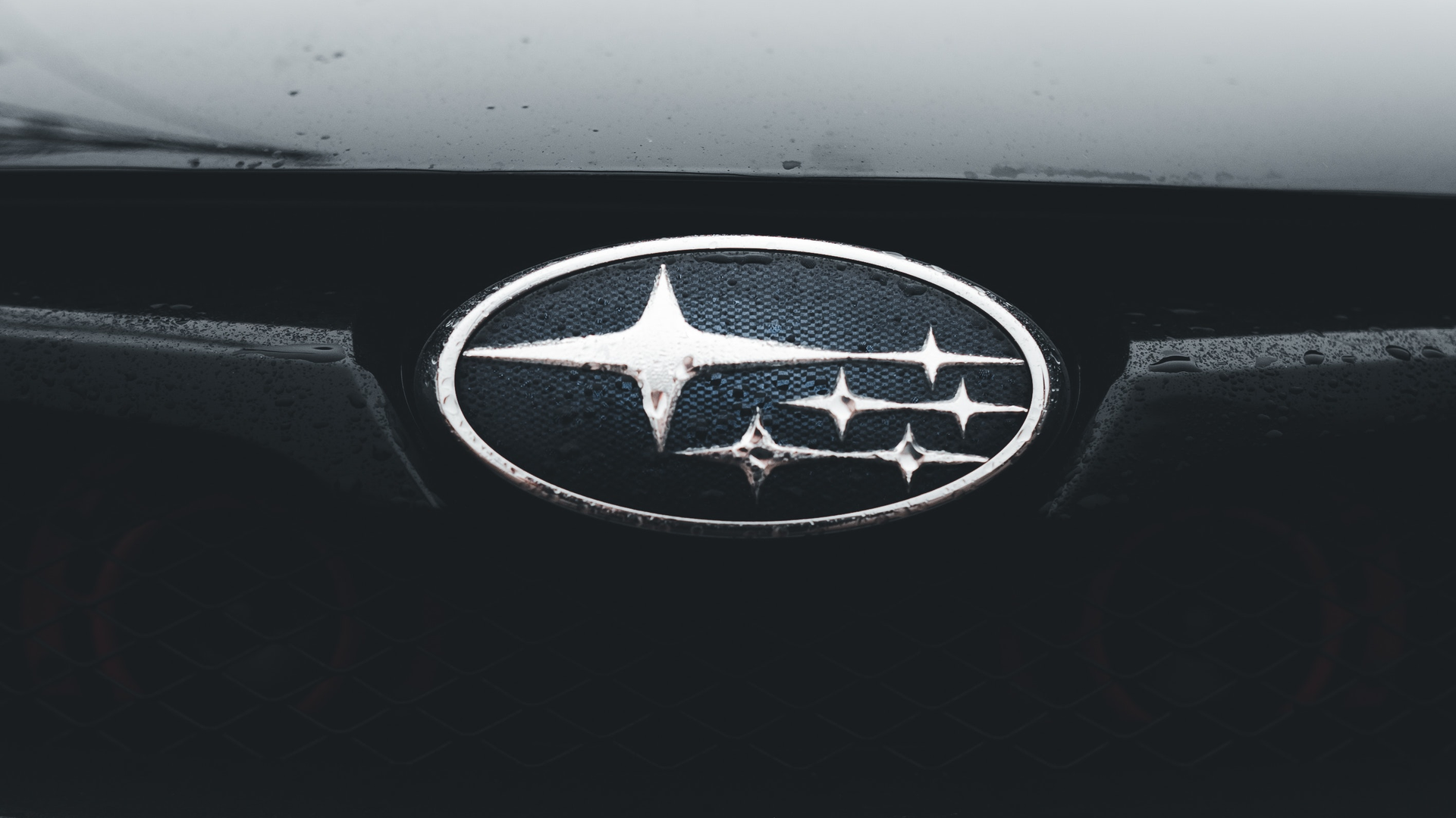 Pexels Erik Mclean 16685573 64dd2809f2abe