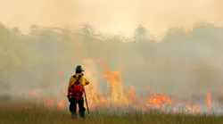 Wildfire 1 64db77eb4235b