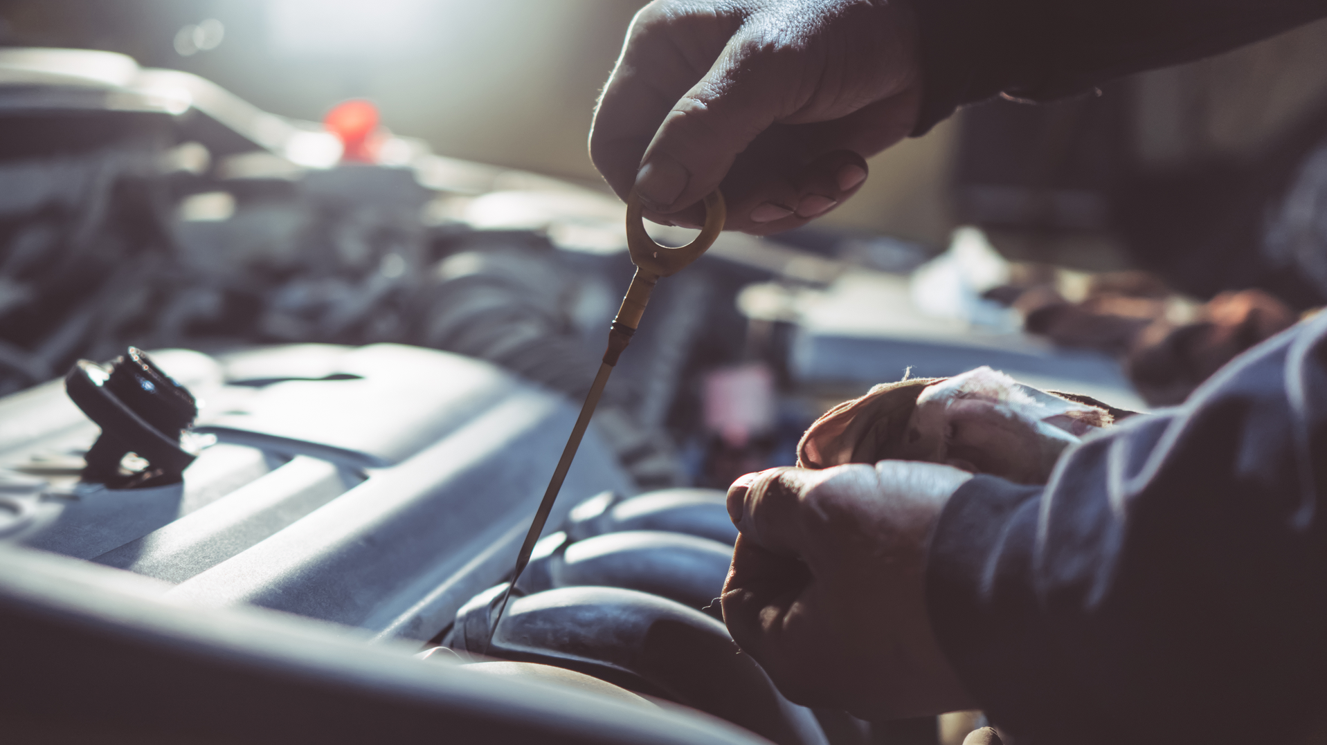 Dreamstime Xxl 164963680 6508b912835e2