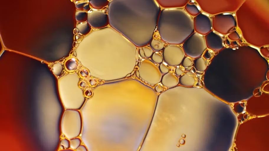 65834957c474fd001e8763fb Oil O O