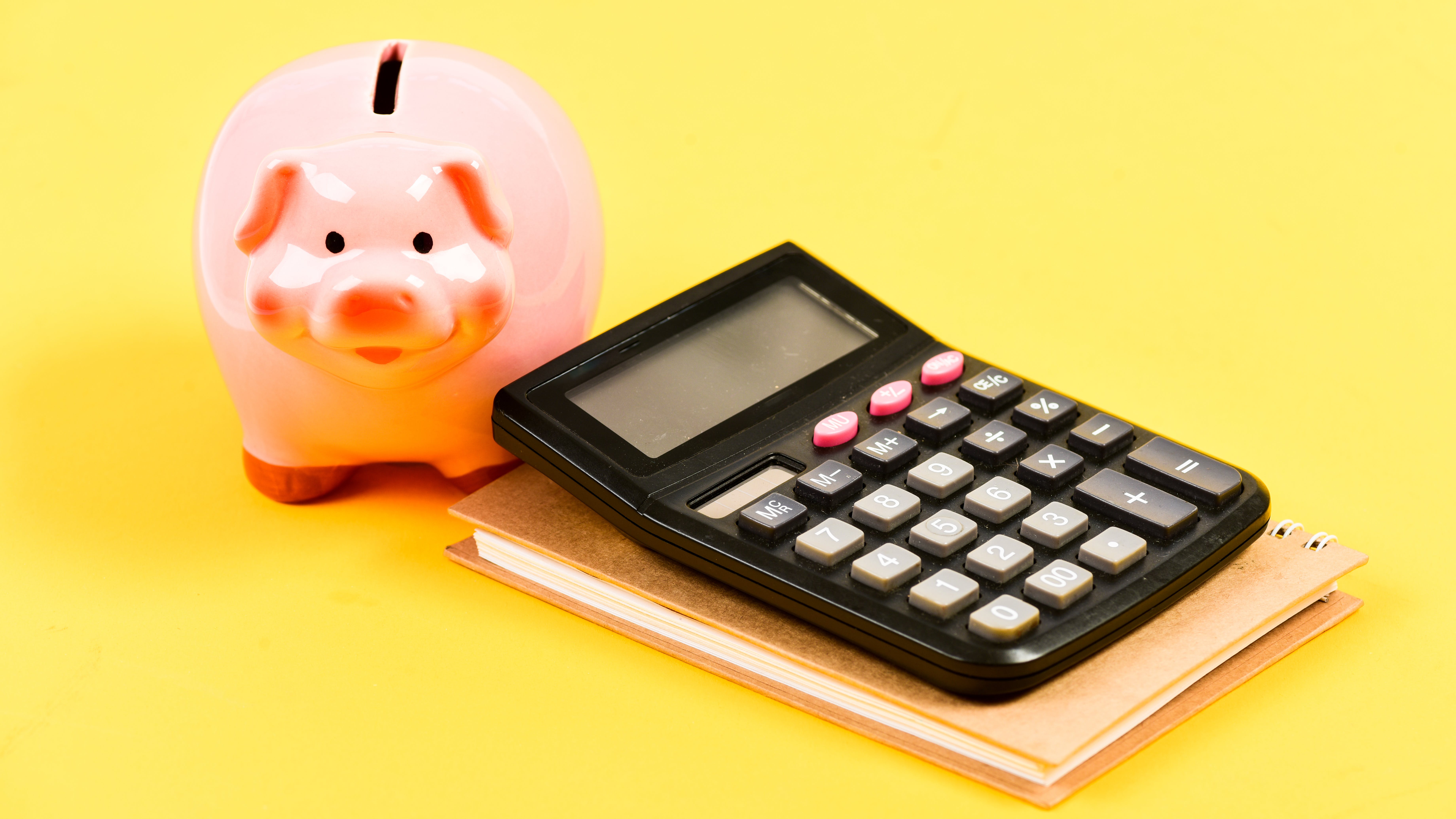 659da00c149292001e229e5c Dreamstime Xxl 154612967