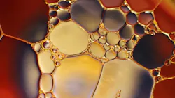 663a9c53cea8fb09d1b533af Oil O O 663a9c53cea8fb09d1b533af Oil O O