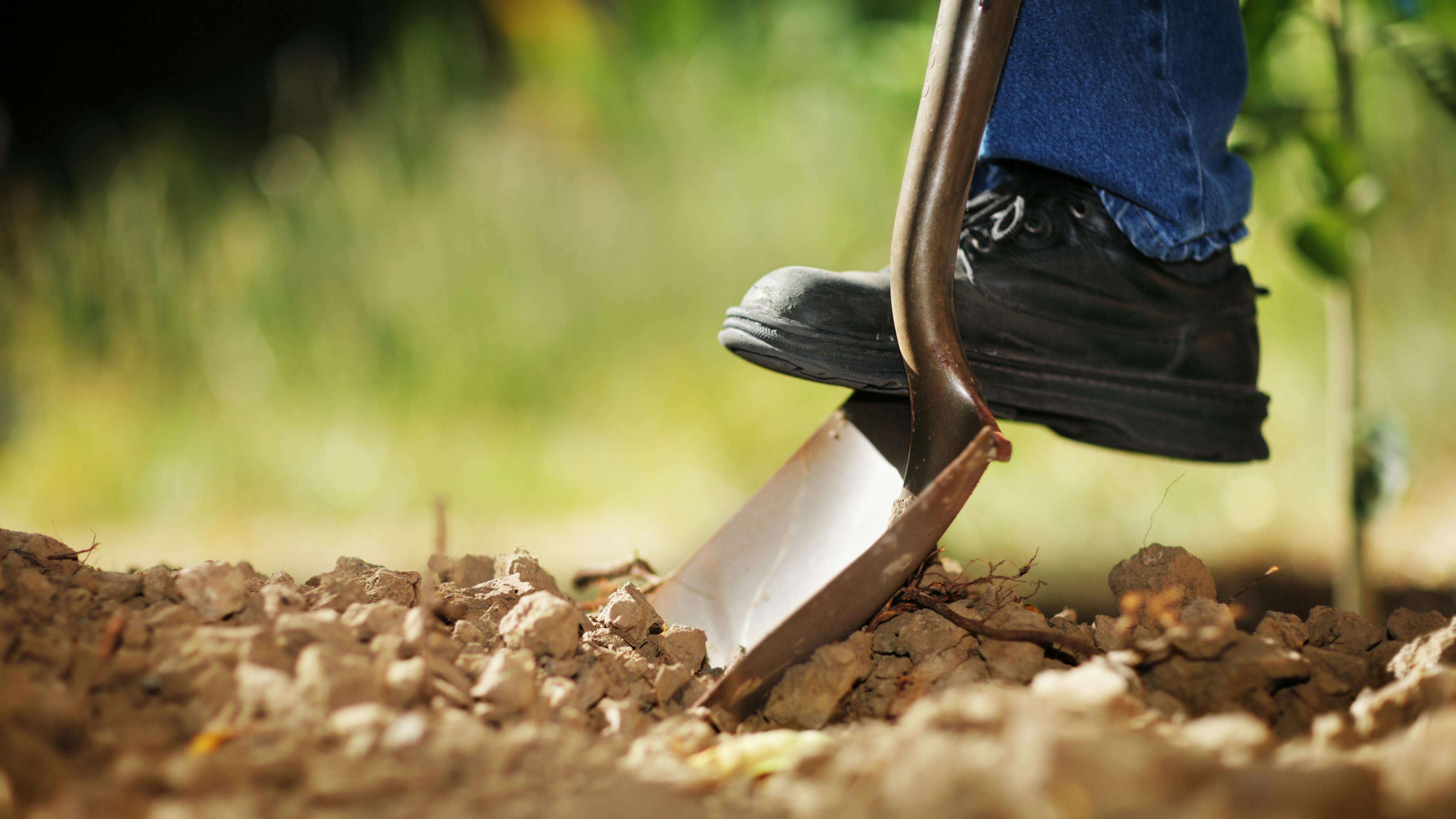 dreamstime_xxl_19121309