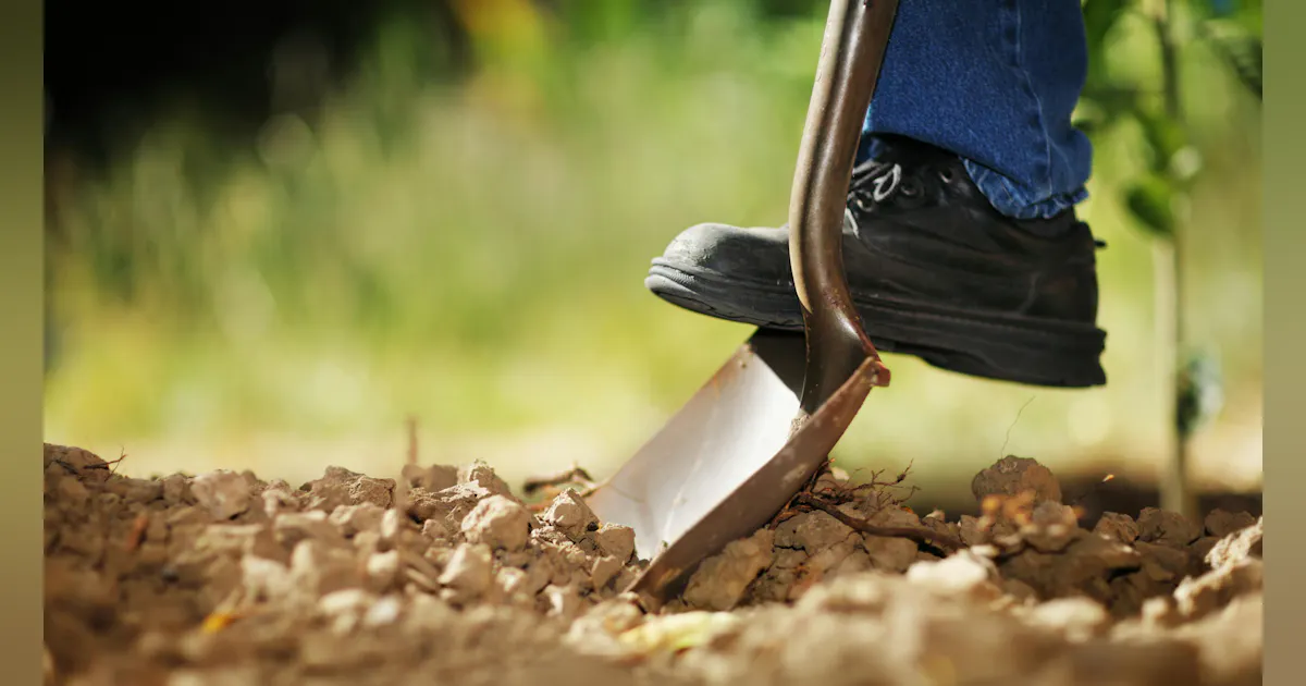 Diggin Out Tatum: Digging Out of The Hole | National Oil and Lube News