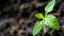 668c35ce1fcfc74953e89f02 Pexelswdnet1002703 668c35ce1fcfc74953e89f02 Pexelswdnet1002703