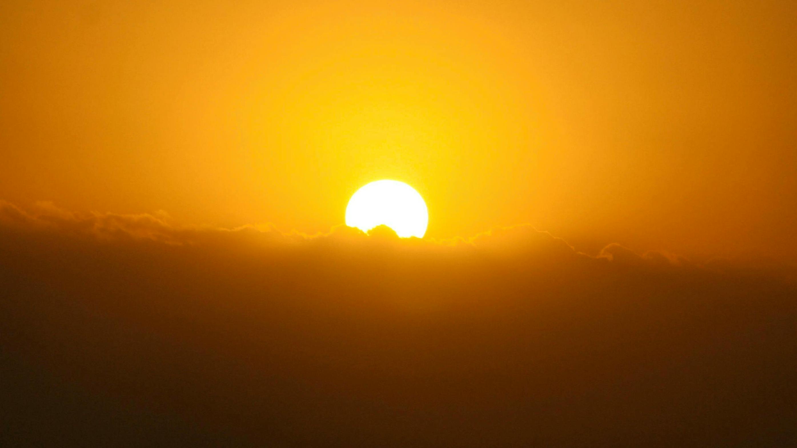 66904683d02a193da96e6f7c Pexelspixabay68768