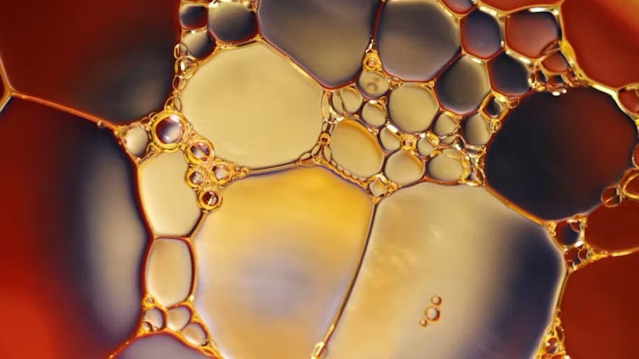 66b67064bed7924b116f2d8c Oil O O