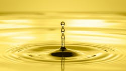 66be22dd13cad1d578e05af9 Adobestock 336122229 66be22dd13cad1d578e05af9 Adobestock 336122229