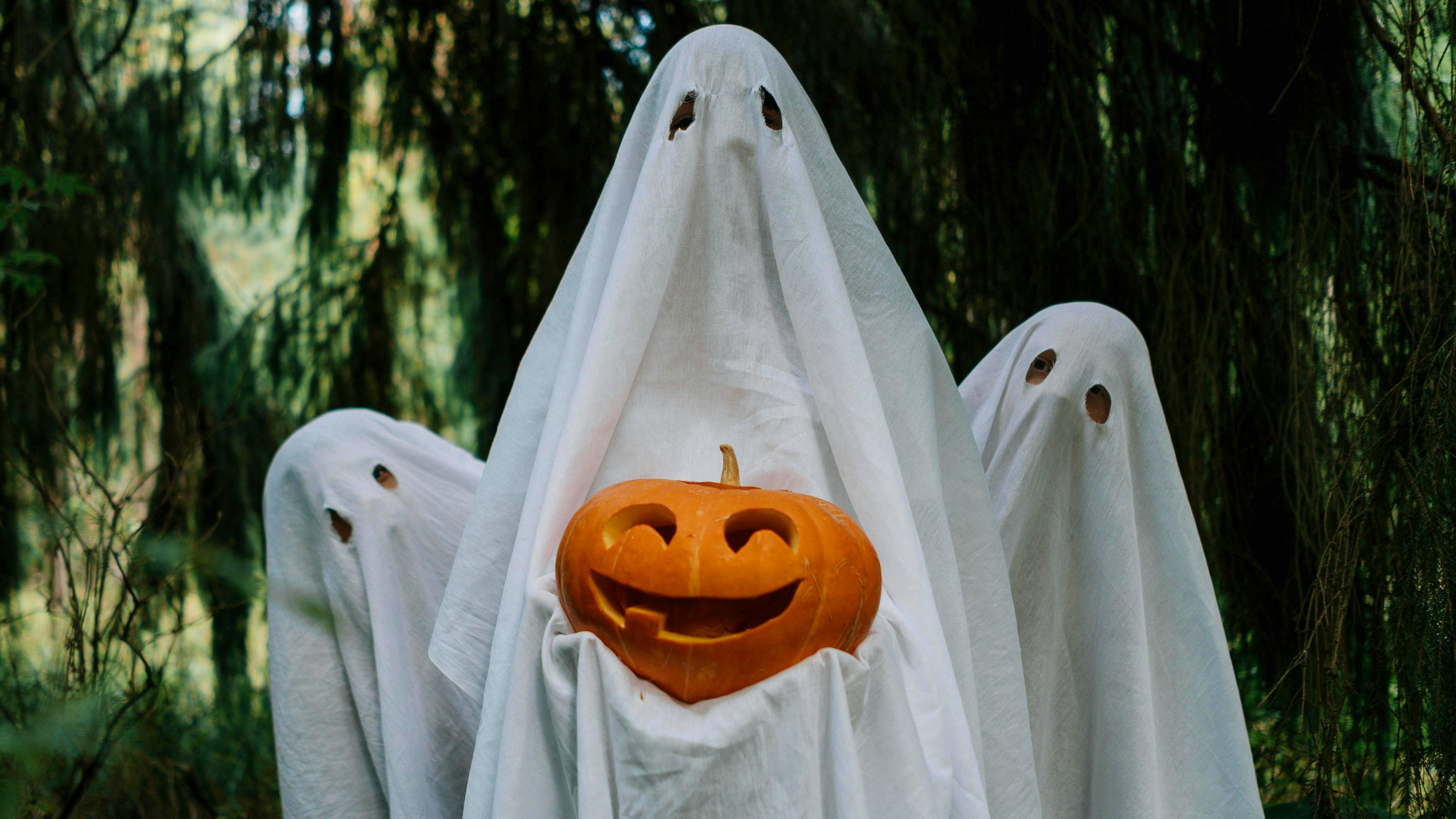 6712b4f2e35240415d5d5d22 Pexelscottonbro5435309