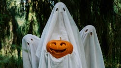 6712b4f2e35240415d5d5d22 Pexelscottonbro5435309 6712b4f2e35240415d5d5d22 Pexelscottonbro5435309