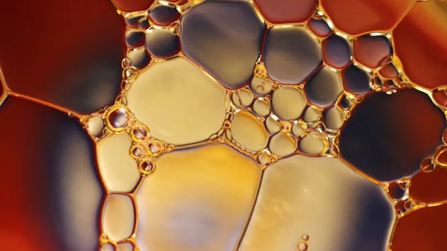 6736db7a1f0a5cbb917331ac Oil O O