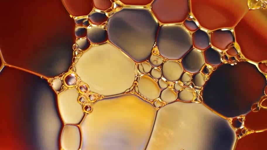 67b7d7ea0b552e3c63d09fdd Oil O O