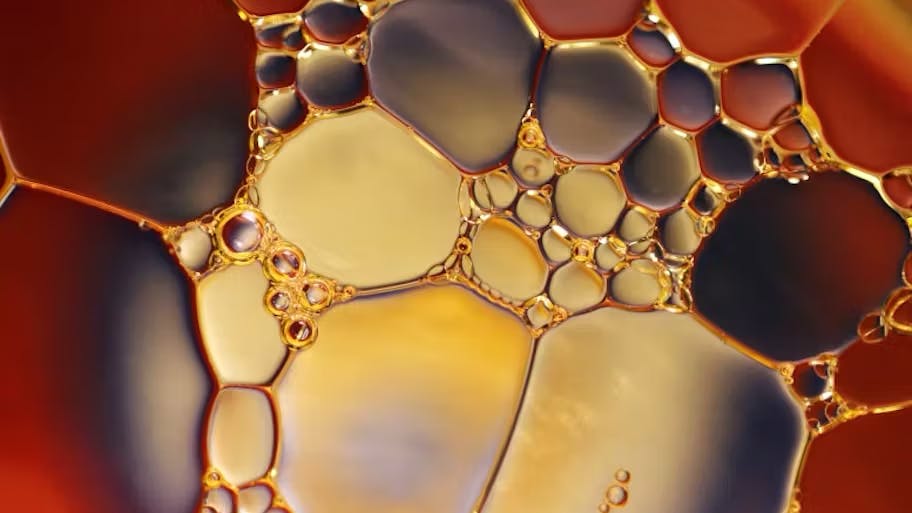 67eb7a1c832f8de03ed842cc Oil O O