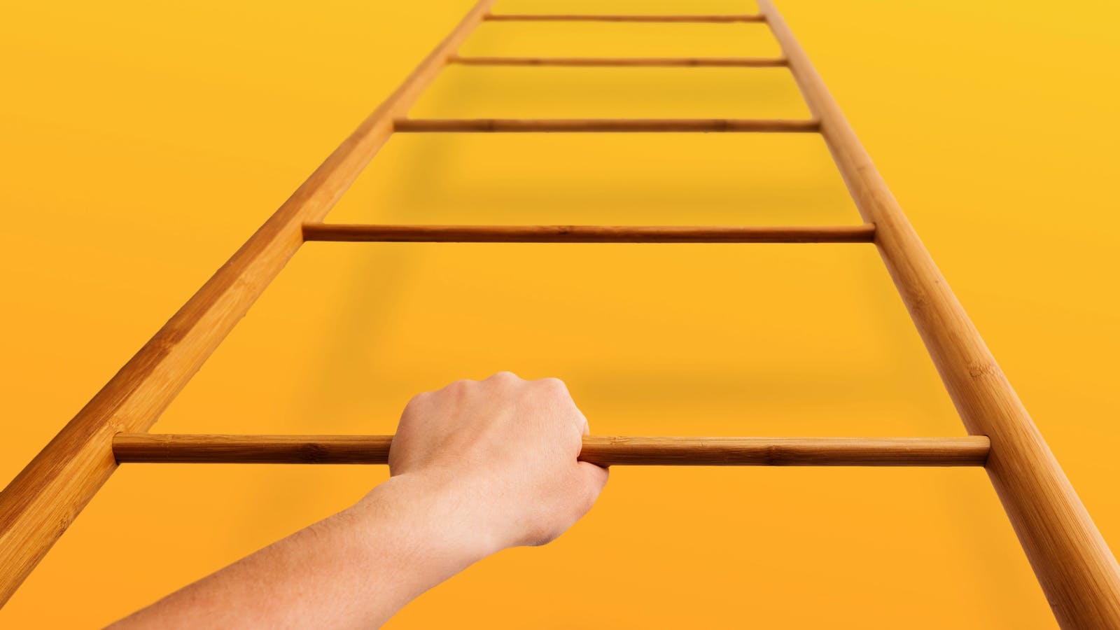 680a425c05ecb5a7ed75e25b Climb Ladder