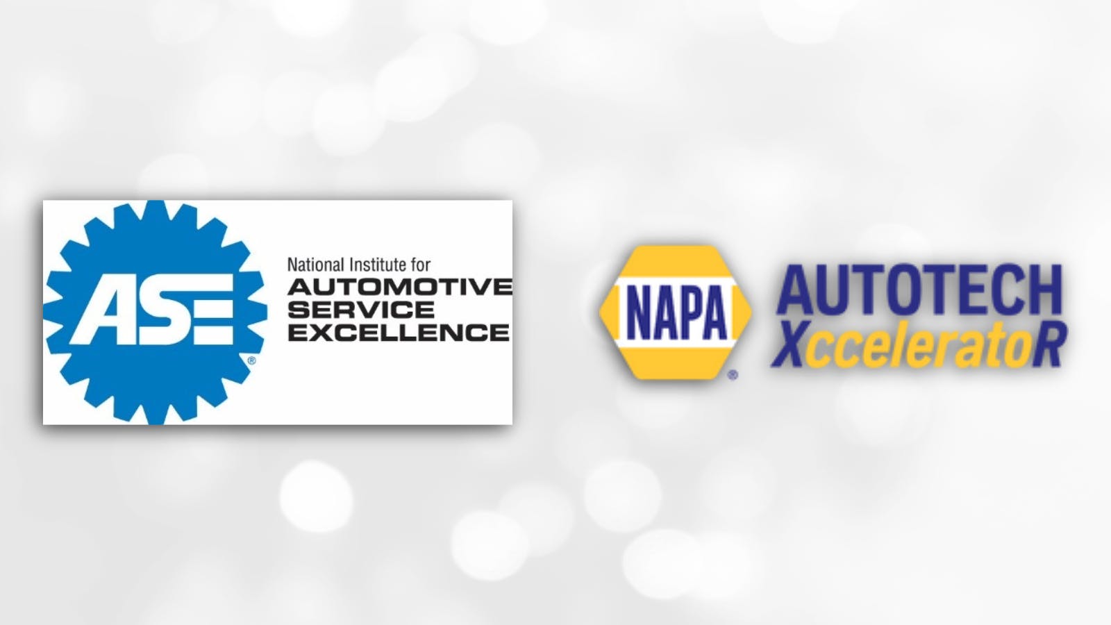 6818ea05a250ca44e40df7ab Ase Napa