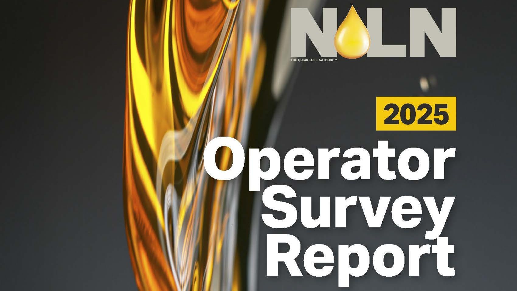 6863435996048951e6539ab0 2025noln Industry Survey Report Page 01