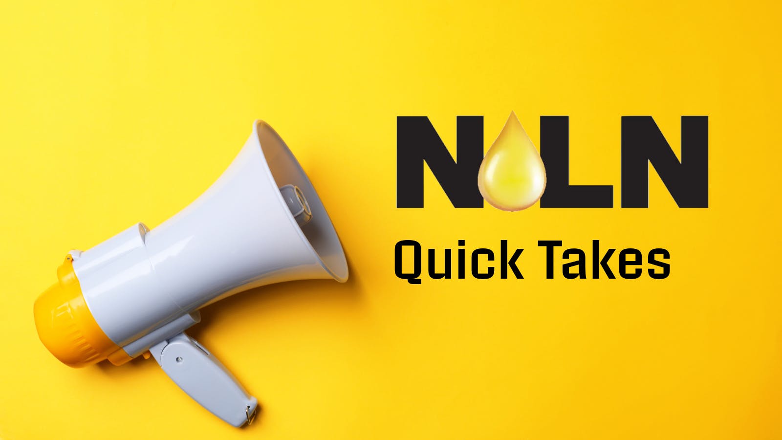 68795e2c41df03f91b05d33a Noln Quick Takes