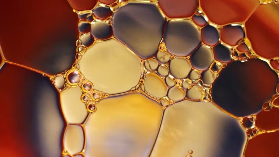 689c0c872ed90cc73e1064a0 Oil O O
