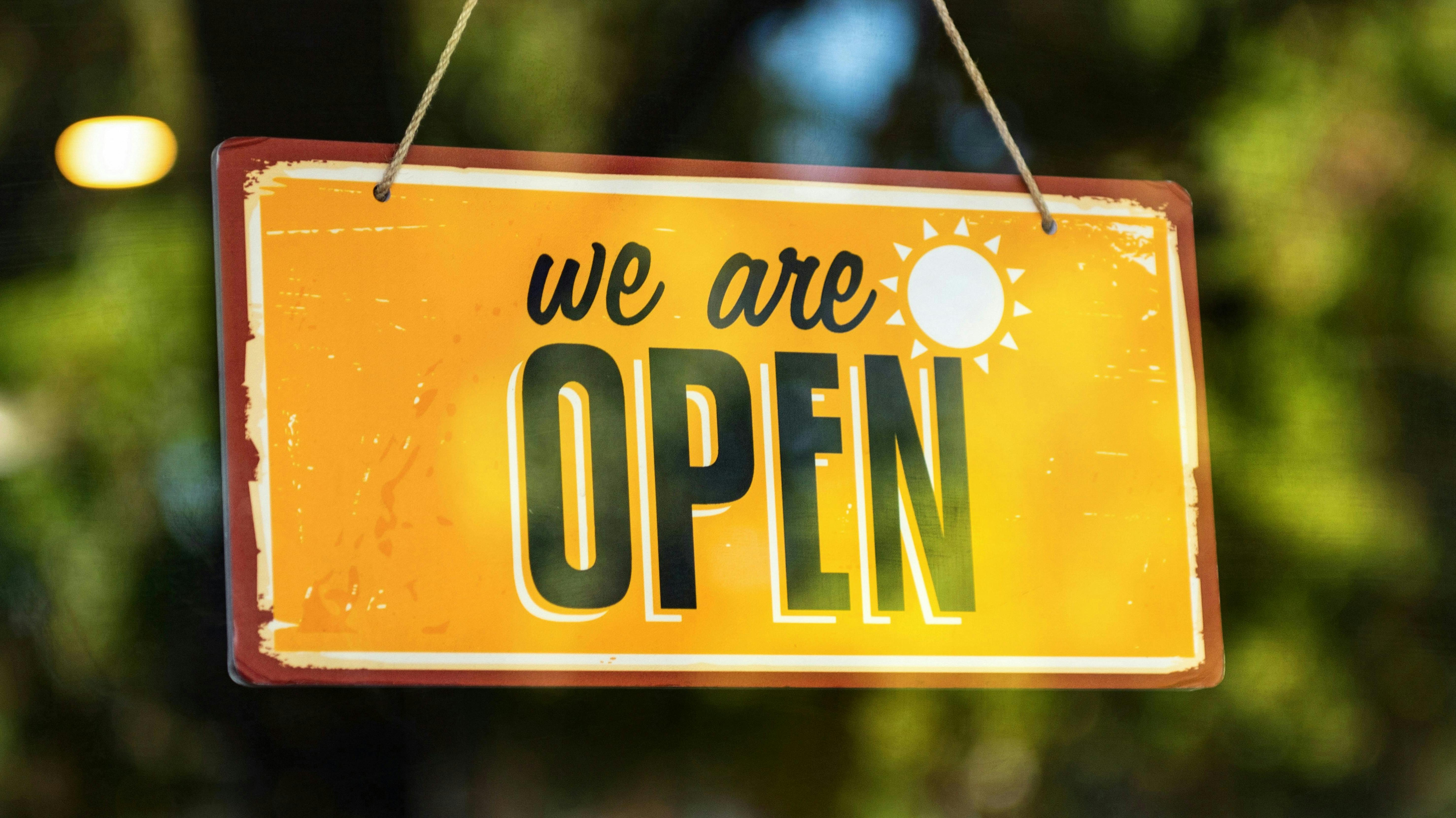 pexelstimmossholder18895423